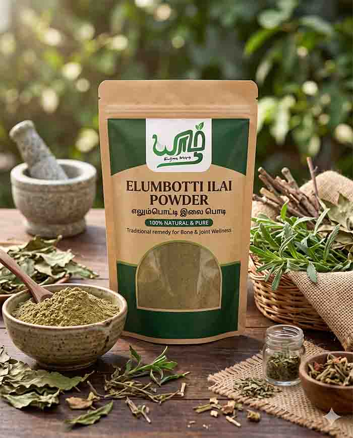 elumbootti ilai